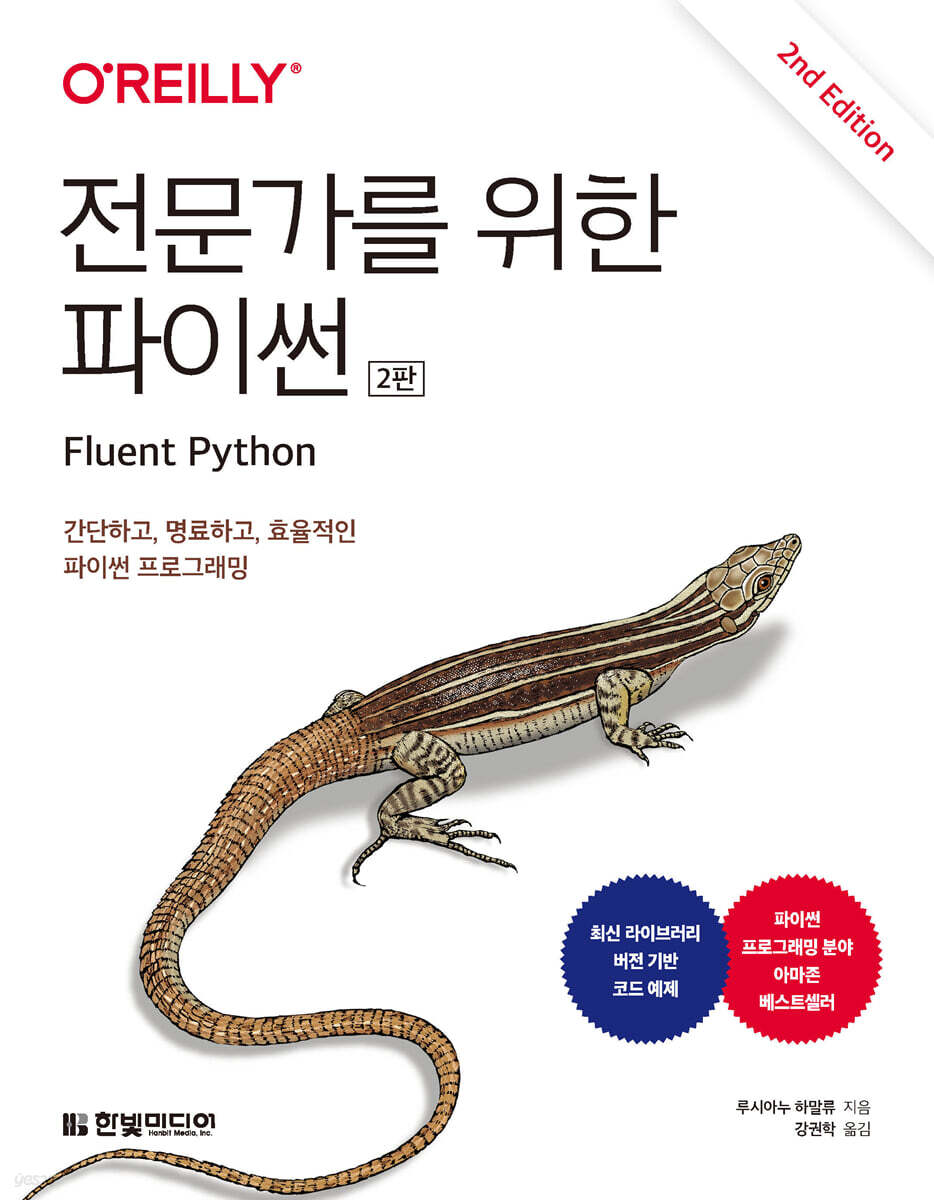 전문가를 위한 파이썬