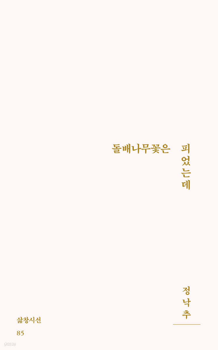 돌배나무꽃은 피었는데