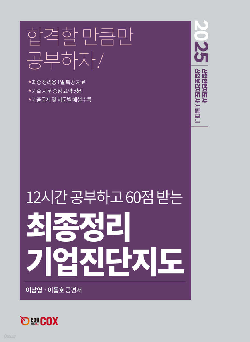 2025 최종정리 기업진단지도