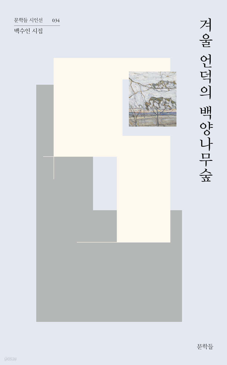 겨울 언덕의 백양나무숲