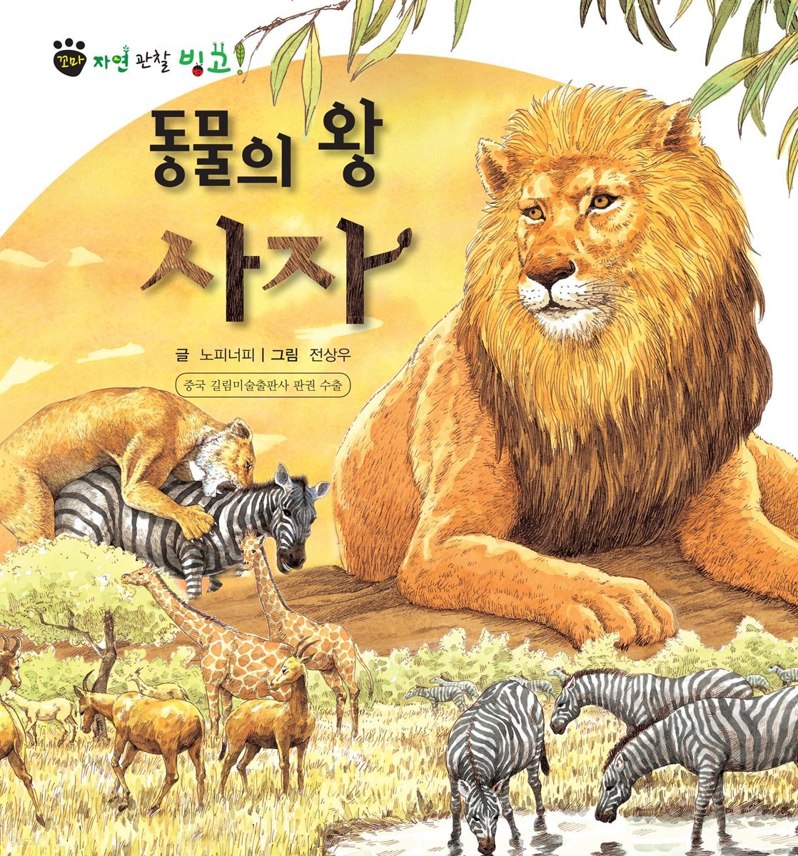 꼬마 자연 관찰 빙고. 18 동물의 왕 사자