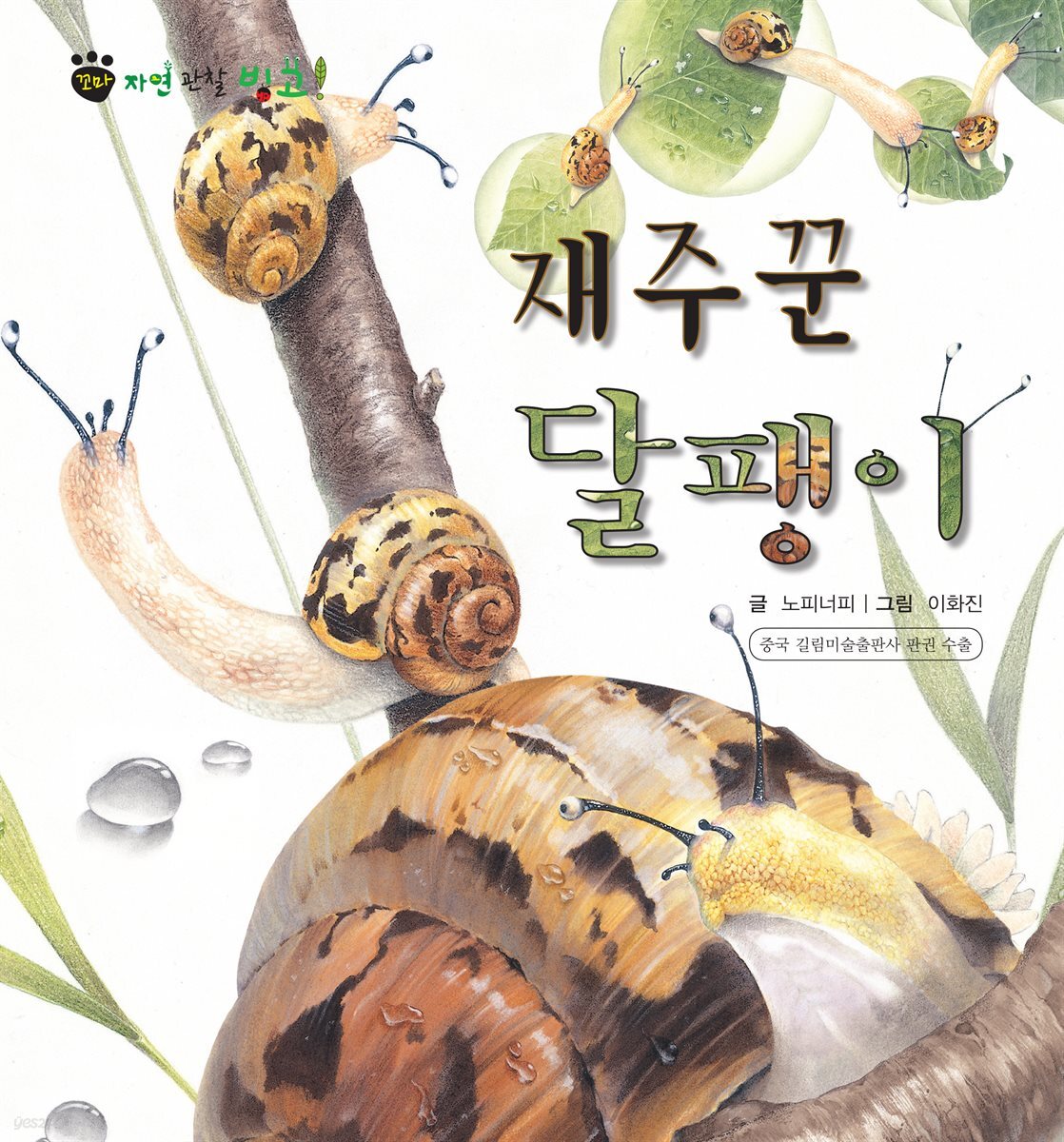 꼬마 자연 관찰 빙고. 22 재주꾼 달팽이