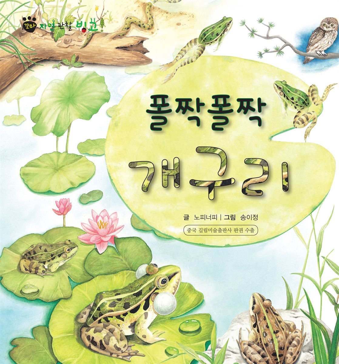 꼬마 자연 관찰 빙고. 24 폴짝폴짝 개구리