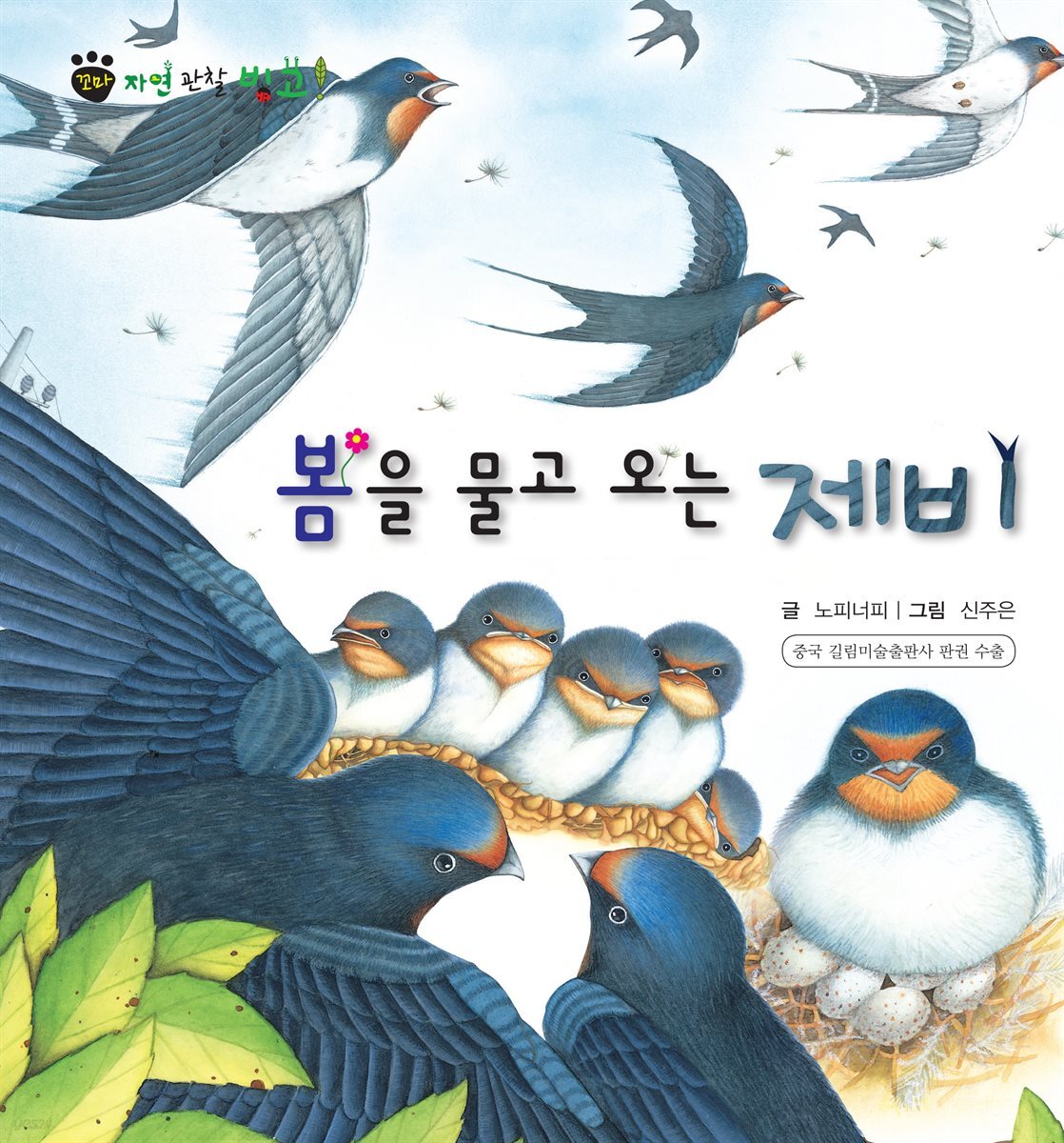 꼬마 자연 관찰 빙고. 28 봄을 물고 오는 제비