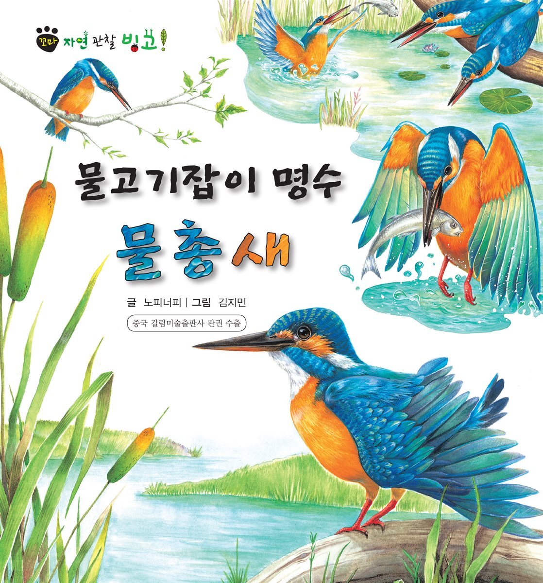 꼬마 자연 관찰 빙고. 30 물고기잡이 명수 물총새