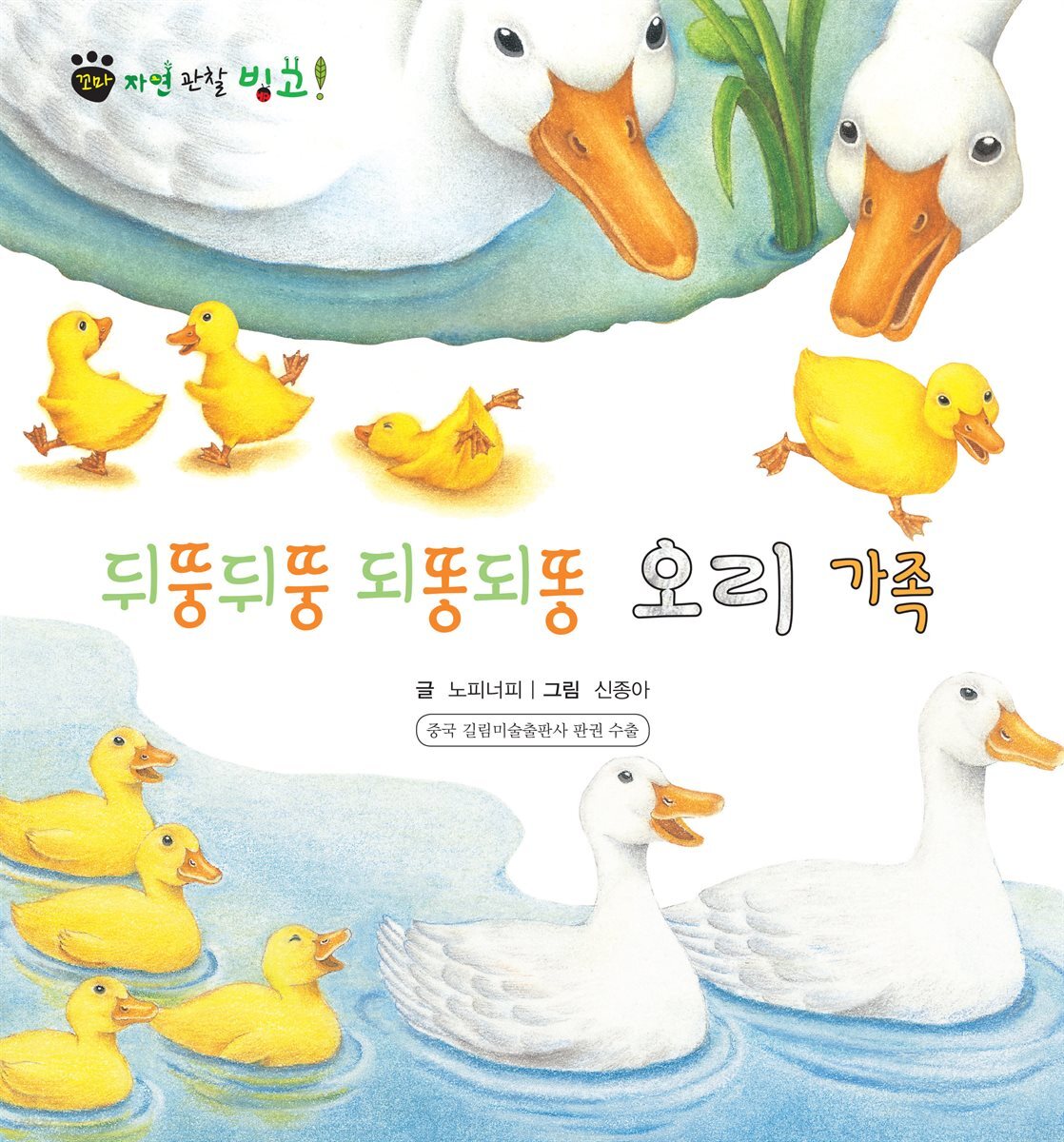 꼬마 자연 관찰 빙고. 36 뒤뚱뒤뚱 되똥되똥 오리 가족