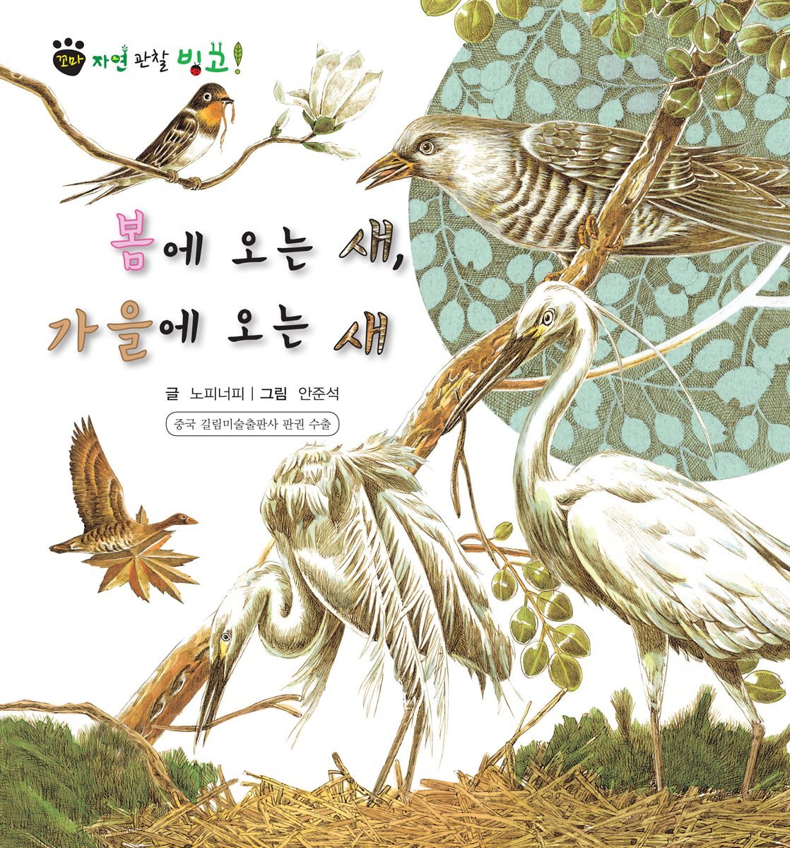꼬마 자연 관찰 빙고. 37 봄에 오는 새, 가을에 오는 새