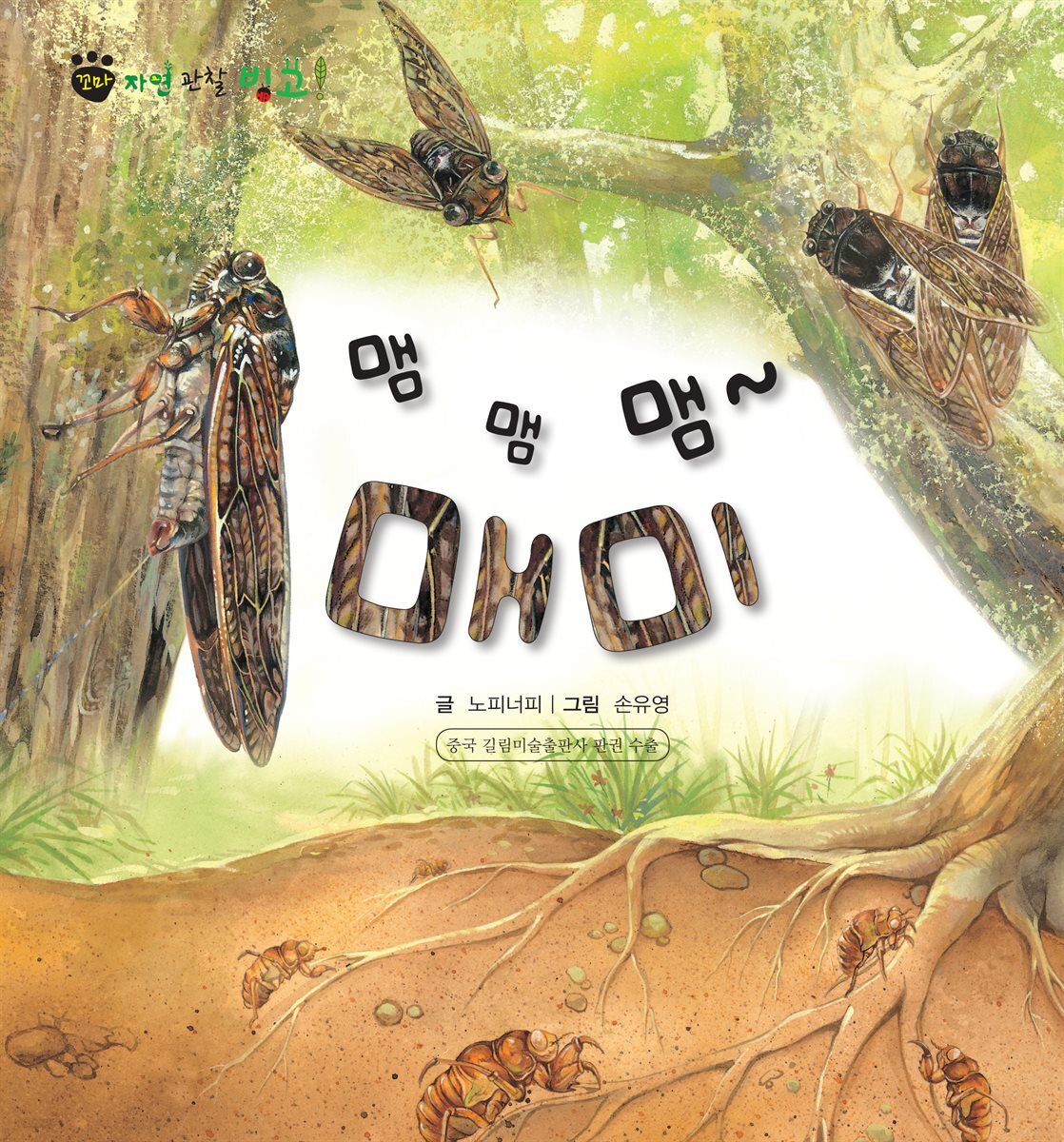 꼬마 자연 관찰 빙고. 42 맴맴맴~ 매미