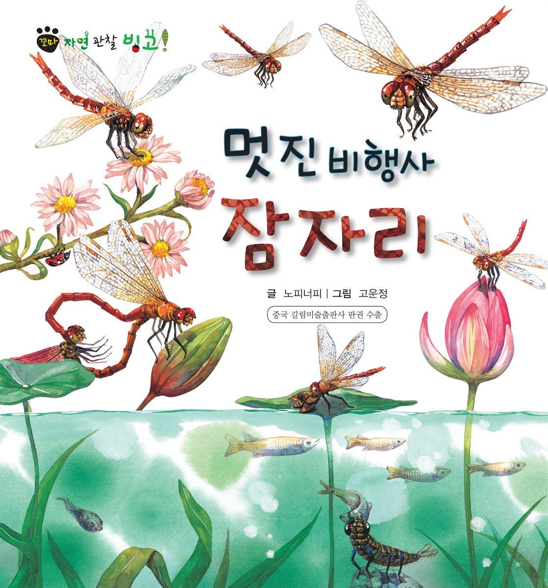 꼬마 자연 관찰 빙고. 43 멋진 비행사 잠자리