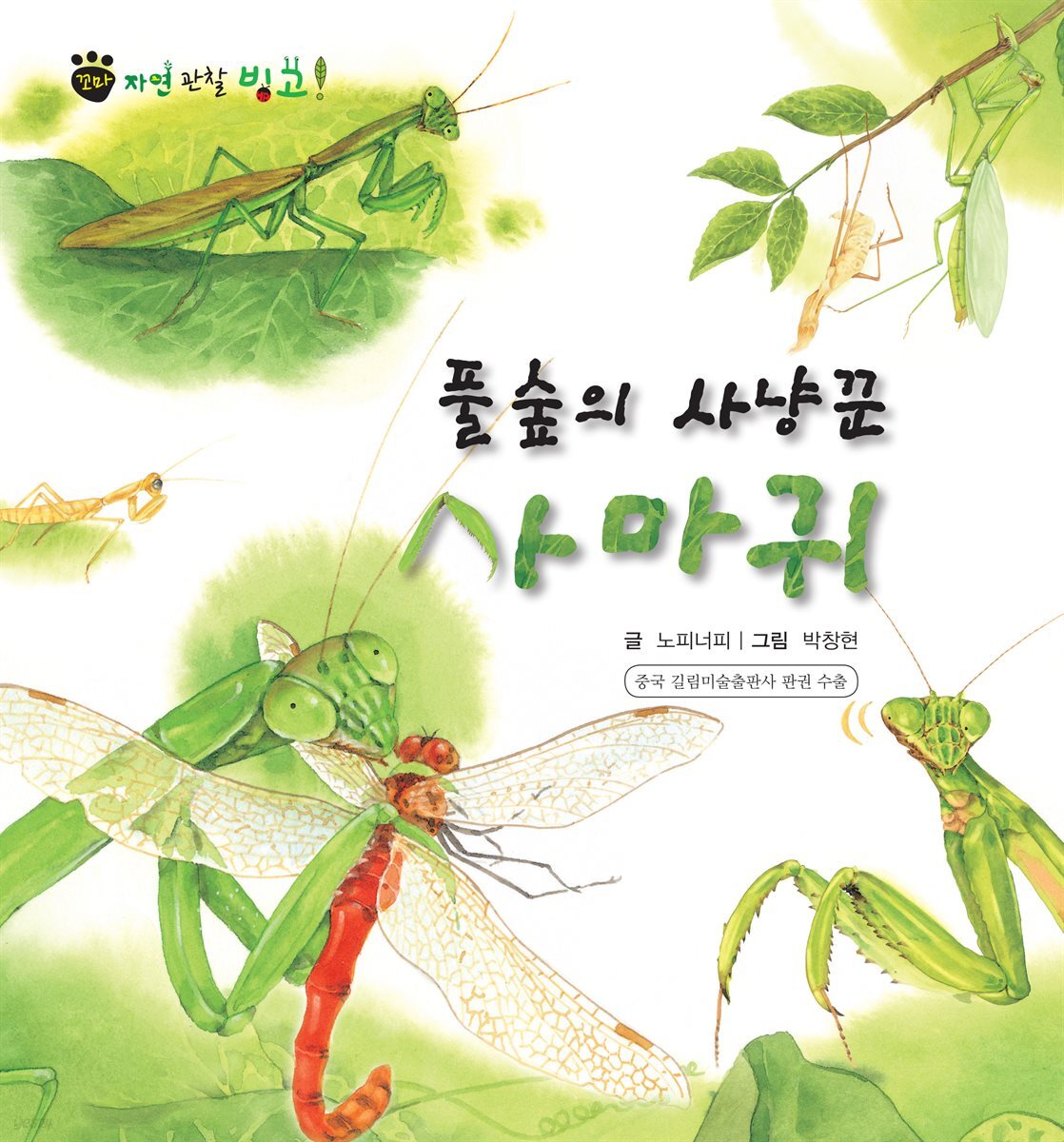 꼬마 자연 관찰 빙고. 45 풀숲의 사냥꾼 사마귀
