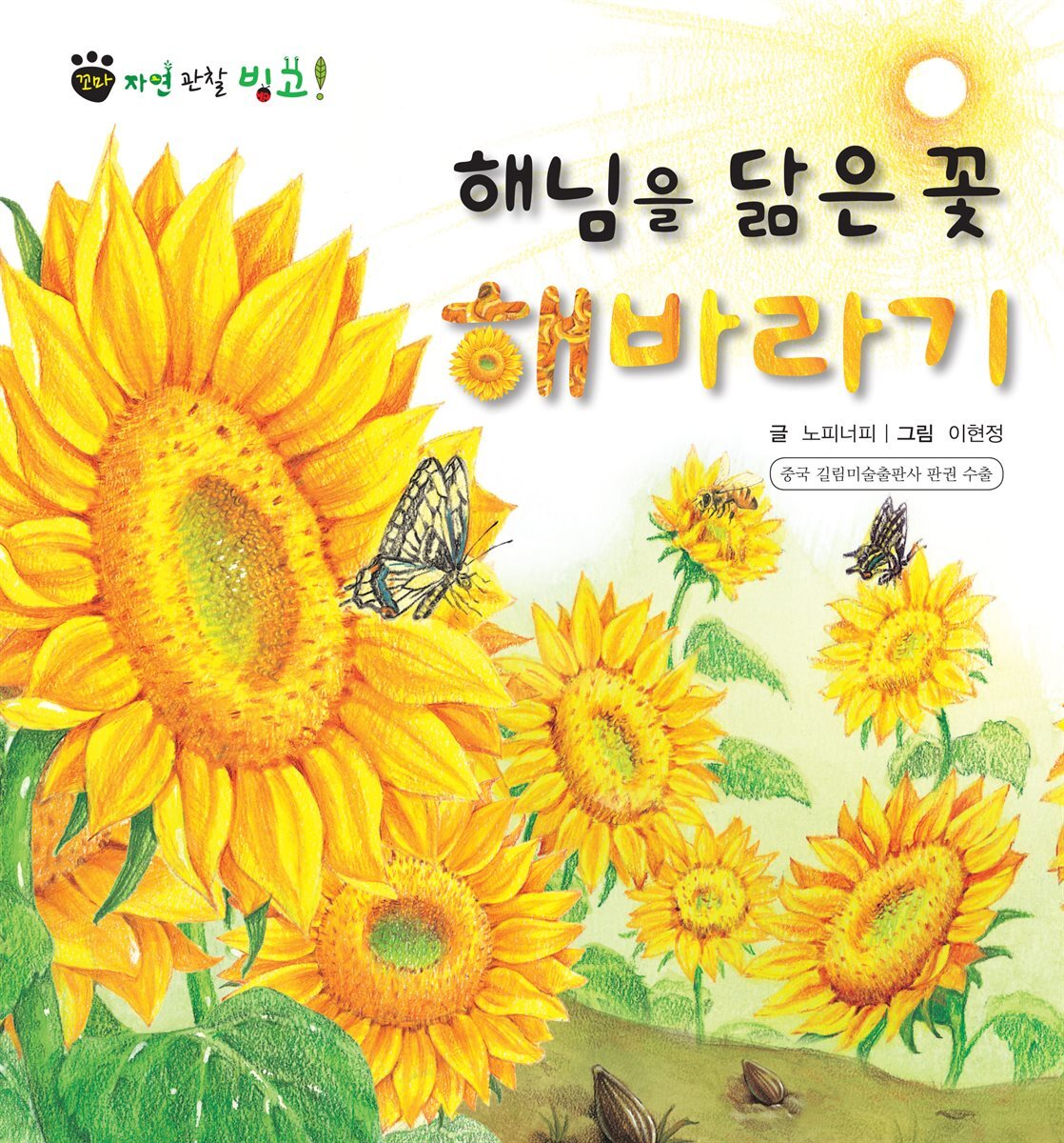 꼬마 자연 관찰 빙고. 48 해님을 닮은 꽃 해바라기