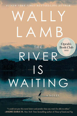 The River Is Waiting (Oprah's Book Club)