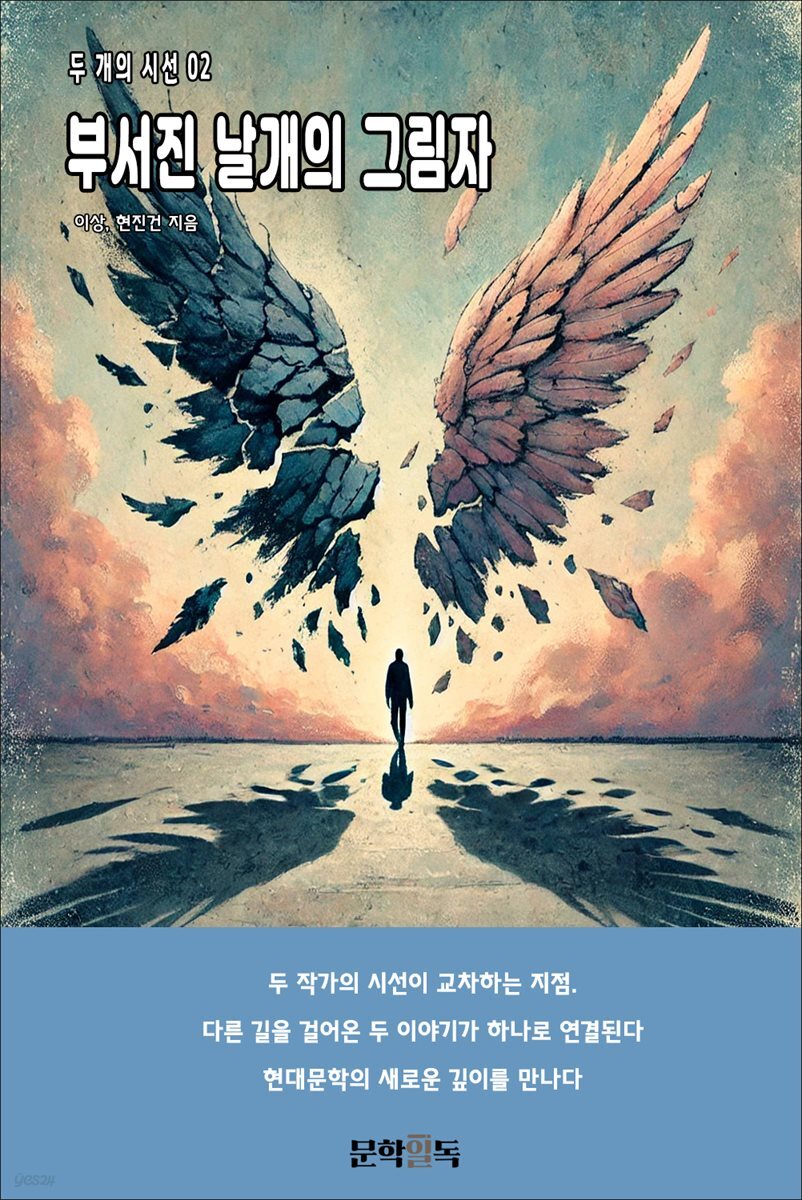 부서진 날개의 그림자
