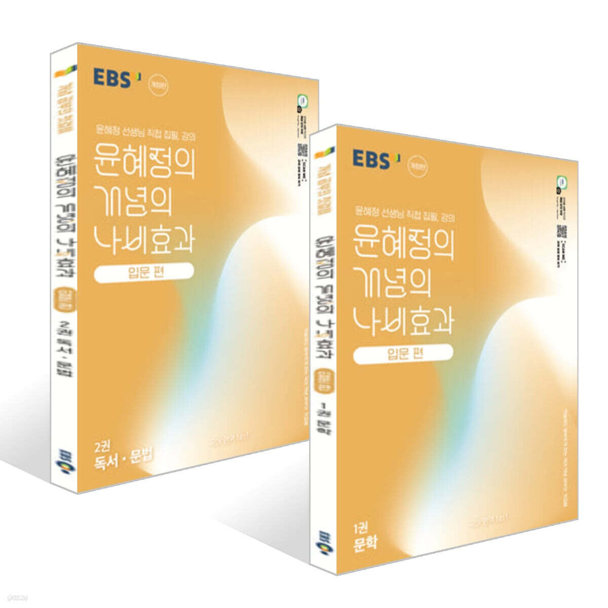 EBS 윤혜정의 개념의 나비효과 입문 편 문학 + 독서·문법 세트 (2025년)