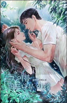 그 여름 버드나무 아래 2권