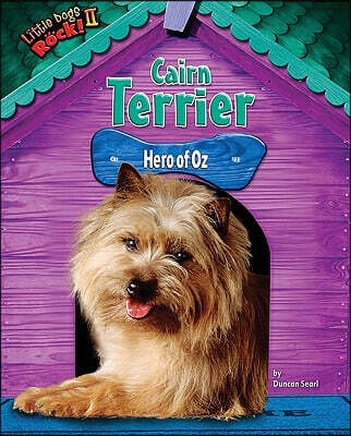 Bearport Pub Co Inc Cairn Terrier: Hero of Oz