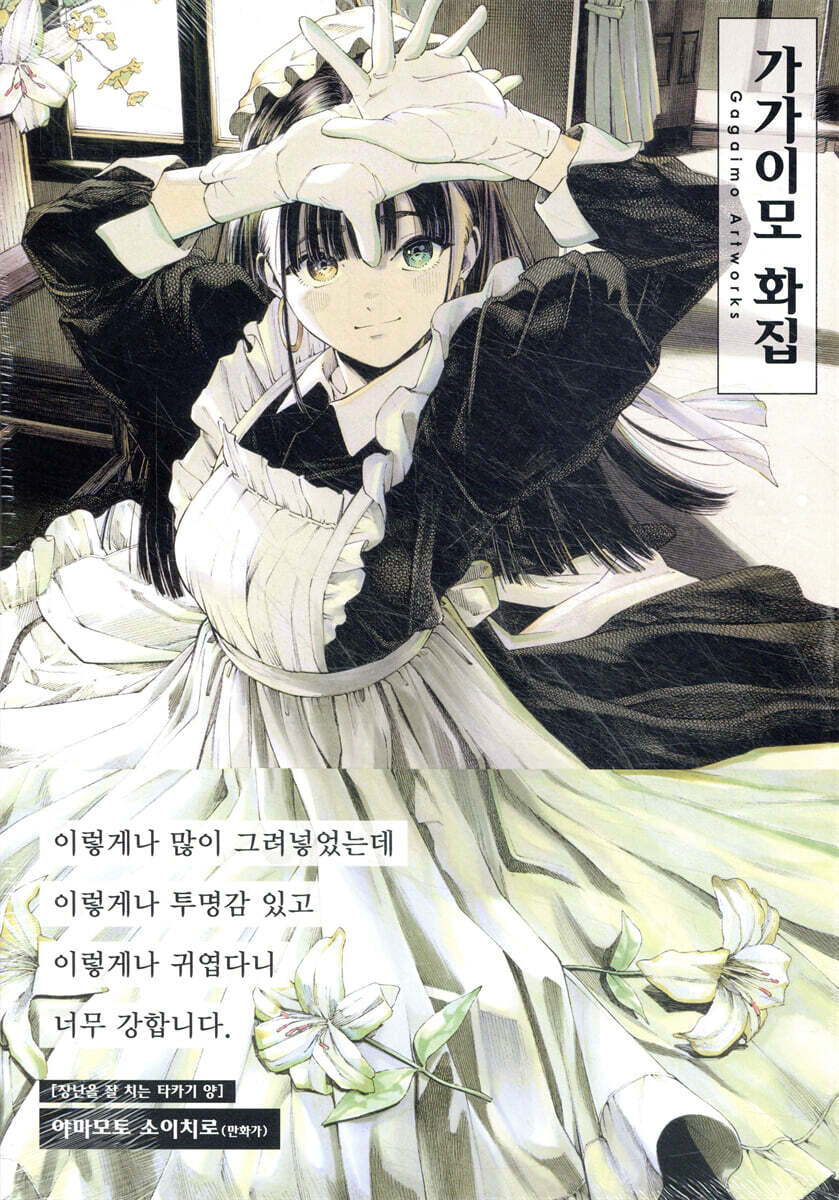 가가이모 화집