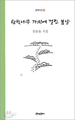 함박나무 가지에 걸린 봄날
