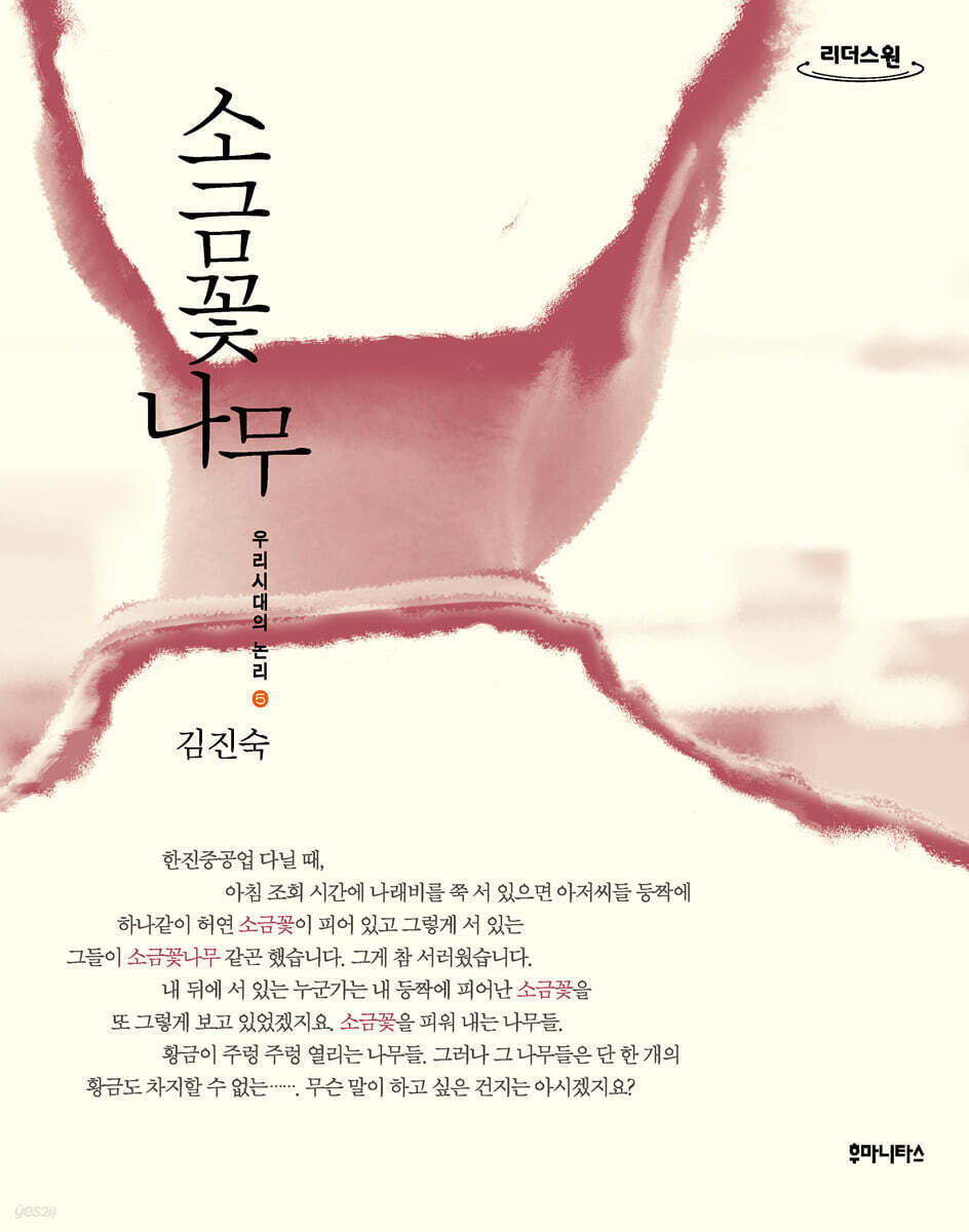 소금꽃나무 (큰글자도서)
