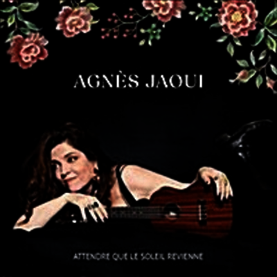 Agnes Jaoui — Attendre Que Le Soleil Revienne 앨범 커버