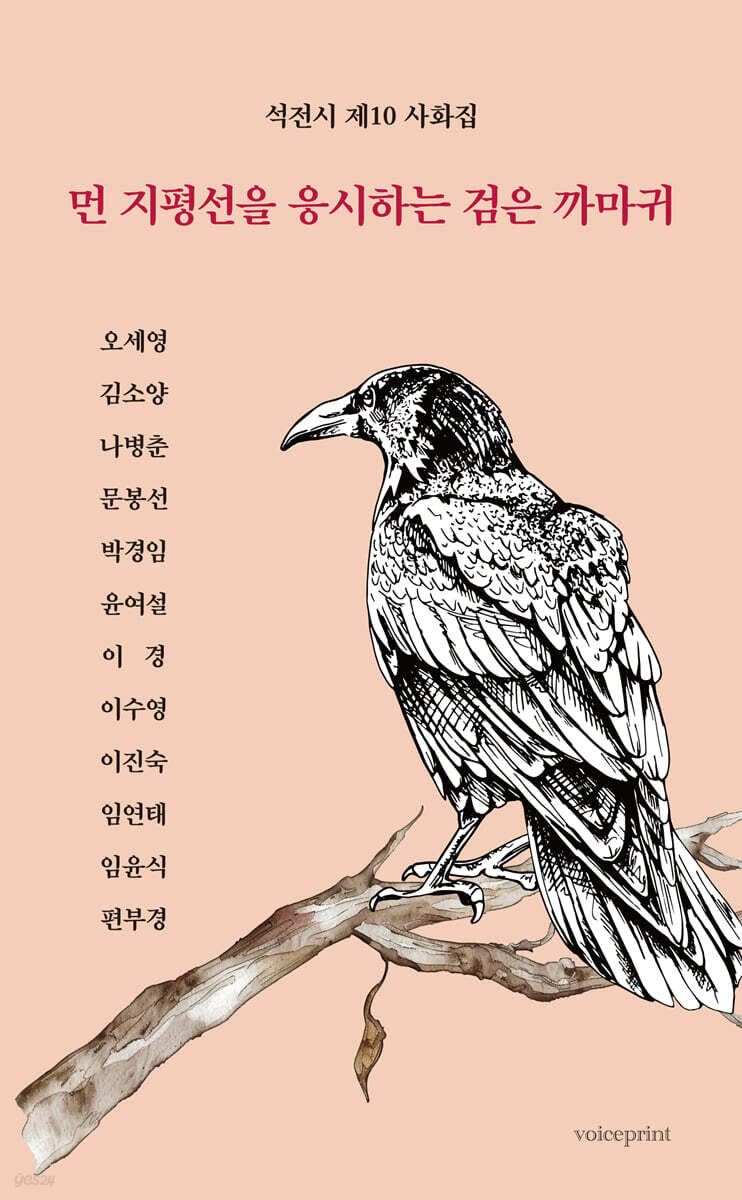 먼 지평선을 응시하는 검은 까마귀
