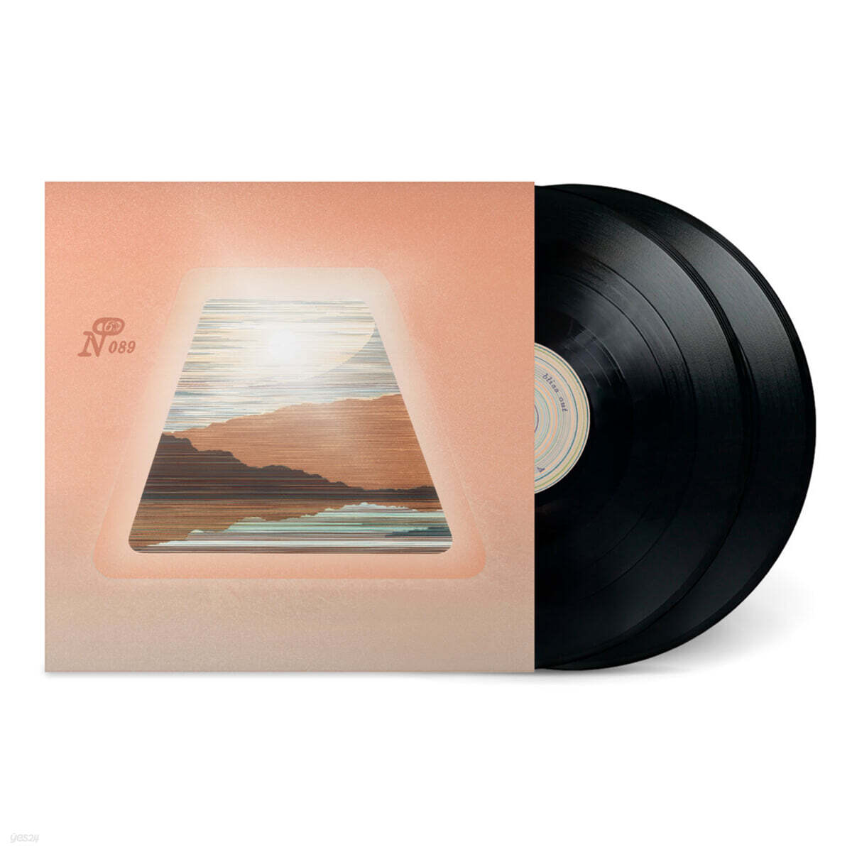 Numero Group 레이블 뉴에이지 컴필레이션 (Bliss Out: For Days) [2LP]