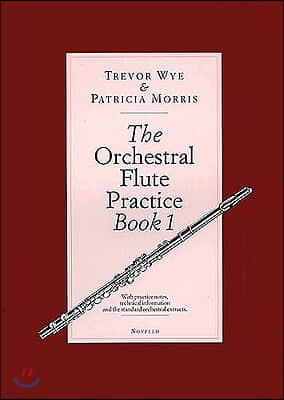 The Orchestral Flute Practice