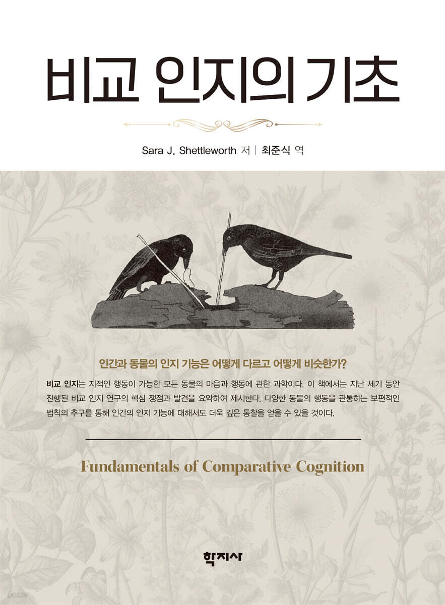 비교 인지의 기초