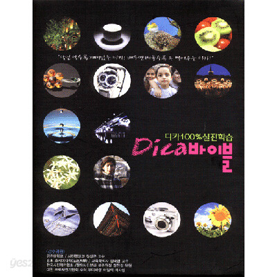 디카100%실전학습(Dica바이블)