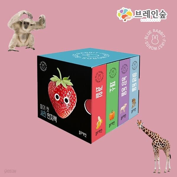 2022 아기 첫 사진 인지책
