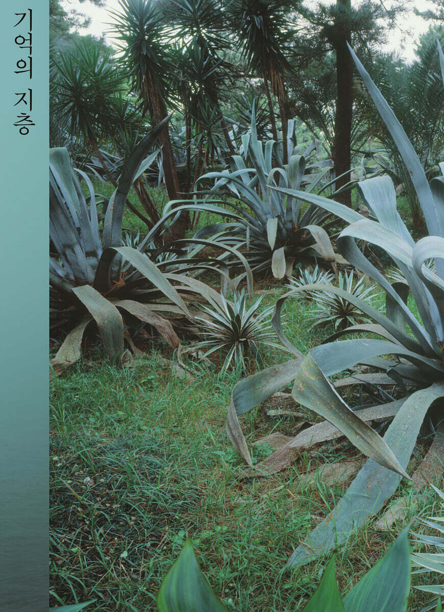 기억의 지층