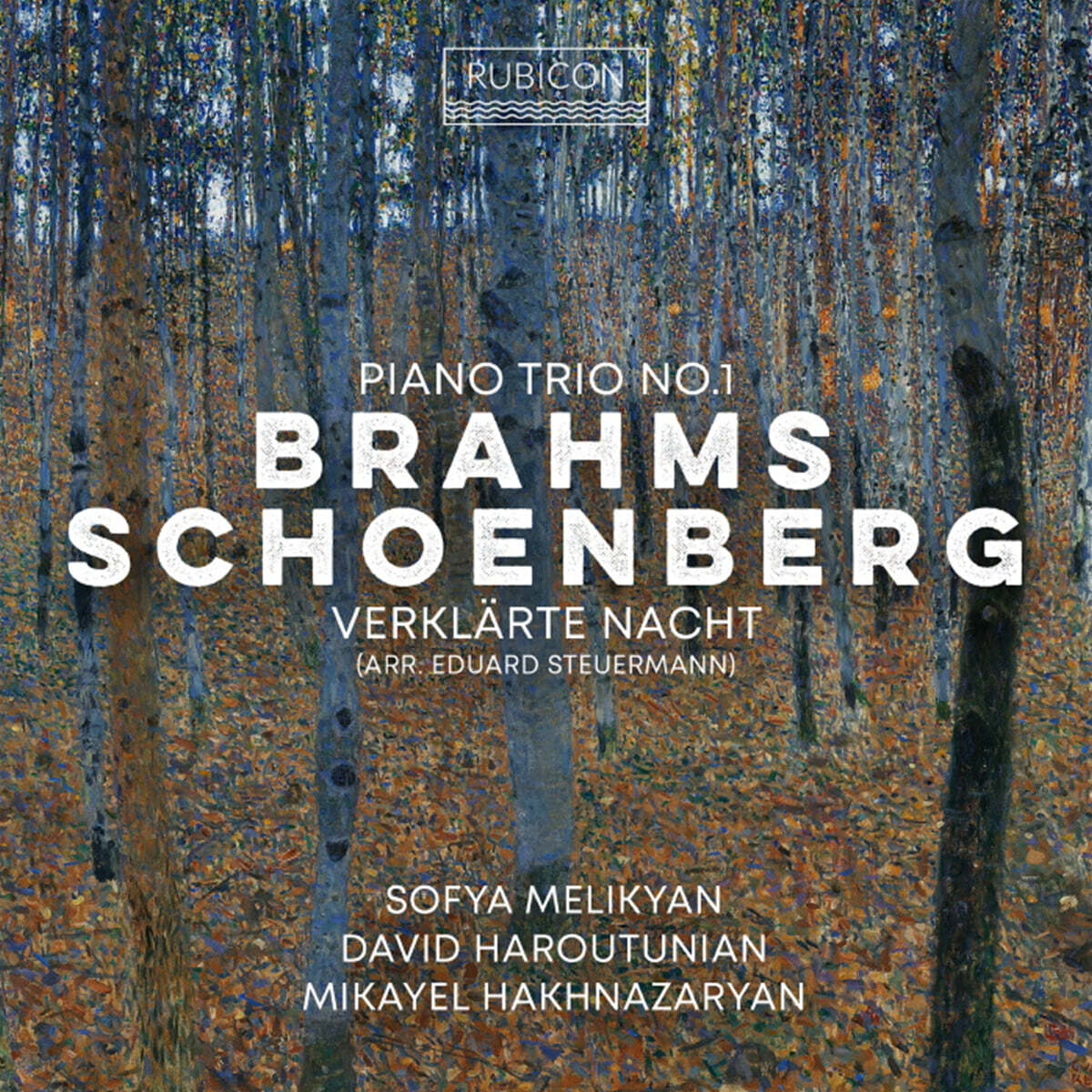 Sofya Melikyan 브람스: 피아노 트리오 1번 / 쇤베르크: 정화된 밤 (Brahms: Piano Trio No.1 / Schoenberg: Verklarte Nacht Op.4)