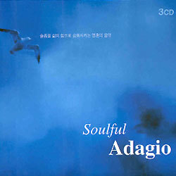 Soulful Adagio (ȥ ƴ)