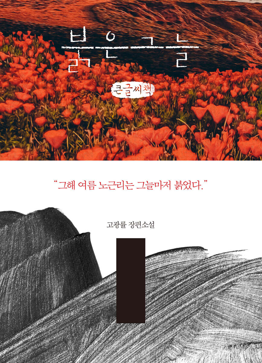붉은 그늘 (큰글자책)