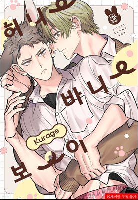 [허니B] 허니 바니 보이