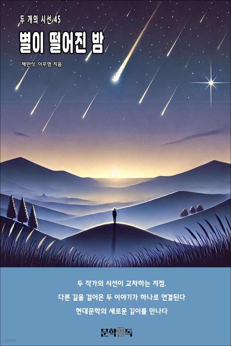 별이 떨어진 밤