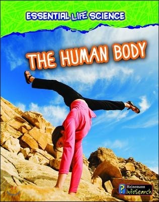 The Human Body