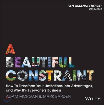 A Beautiful Constraint: How to Transform Your Limitations Into Advantages, and Why It's Everyone's Business