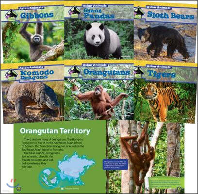 Asian Animals (Set)