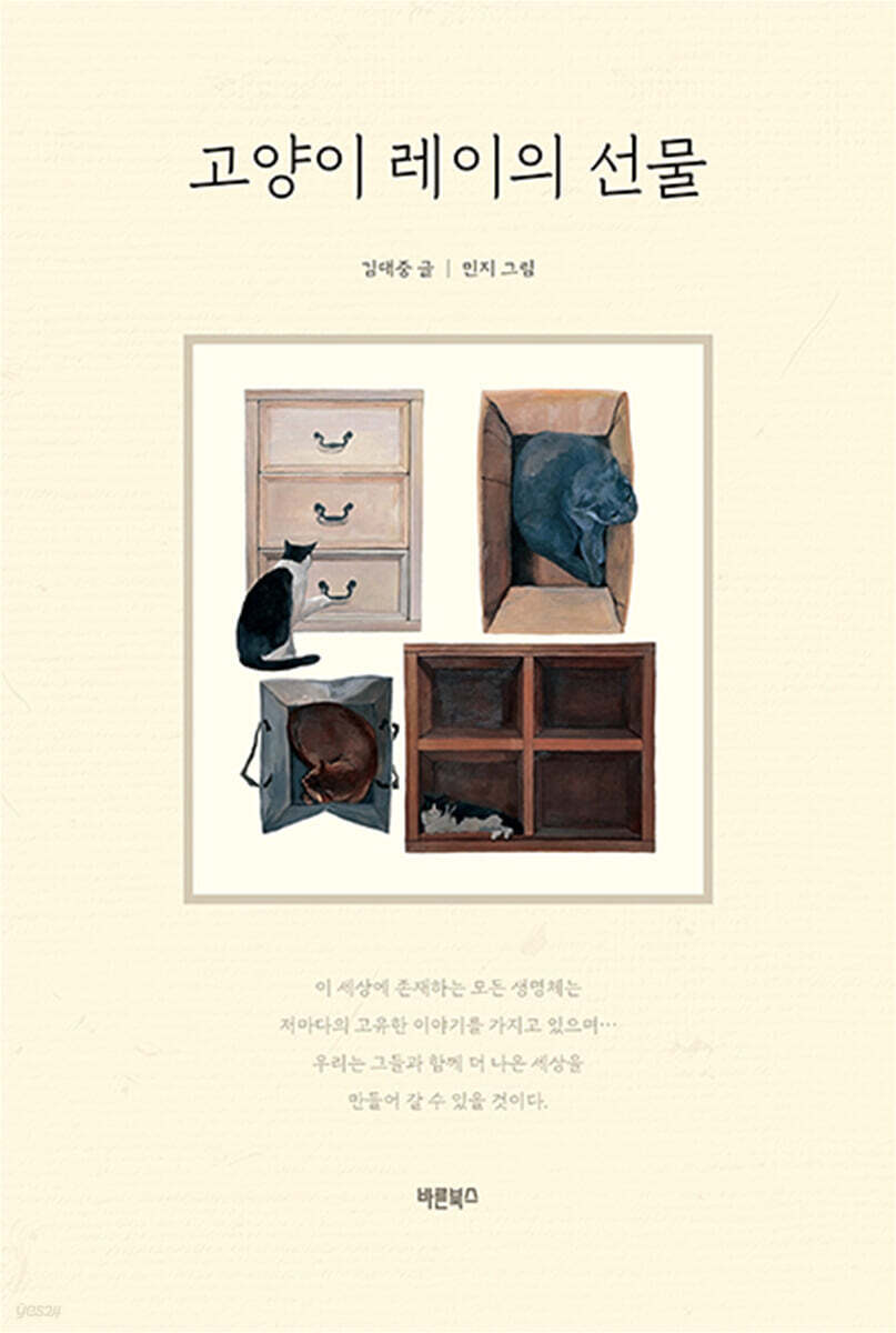 고양이 레이의 선물