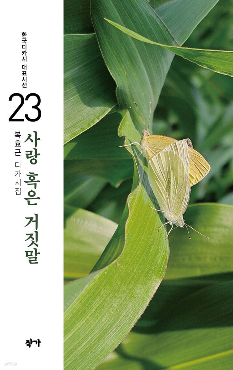 사랑 혹은 거짓말