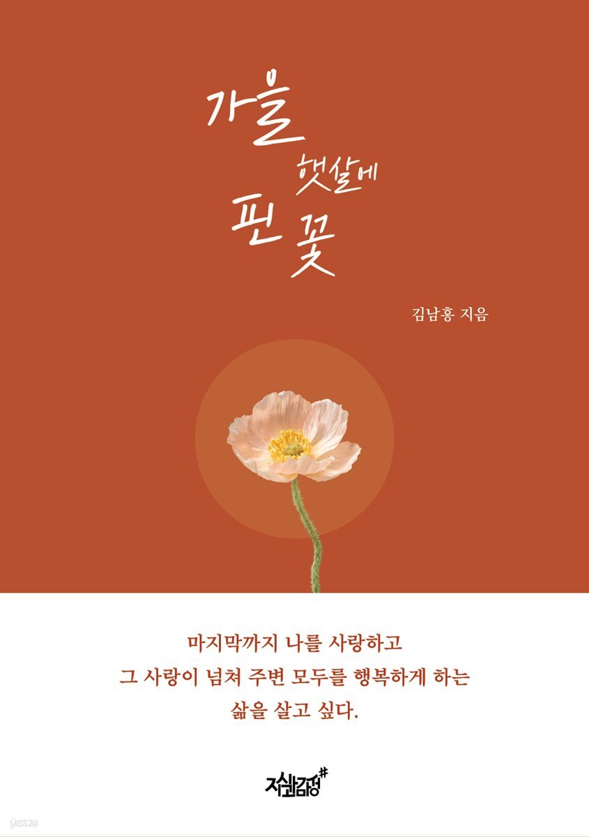 가을 햇살에 핀 꽃