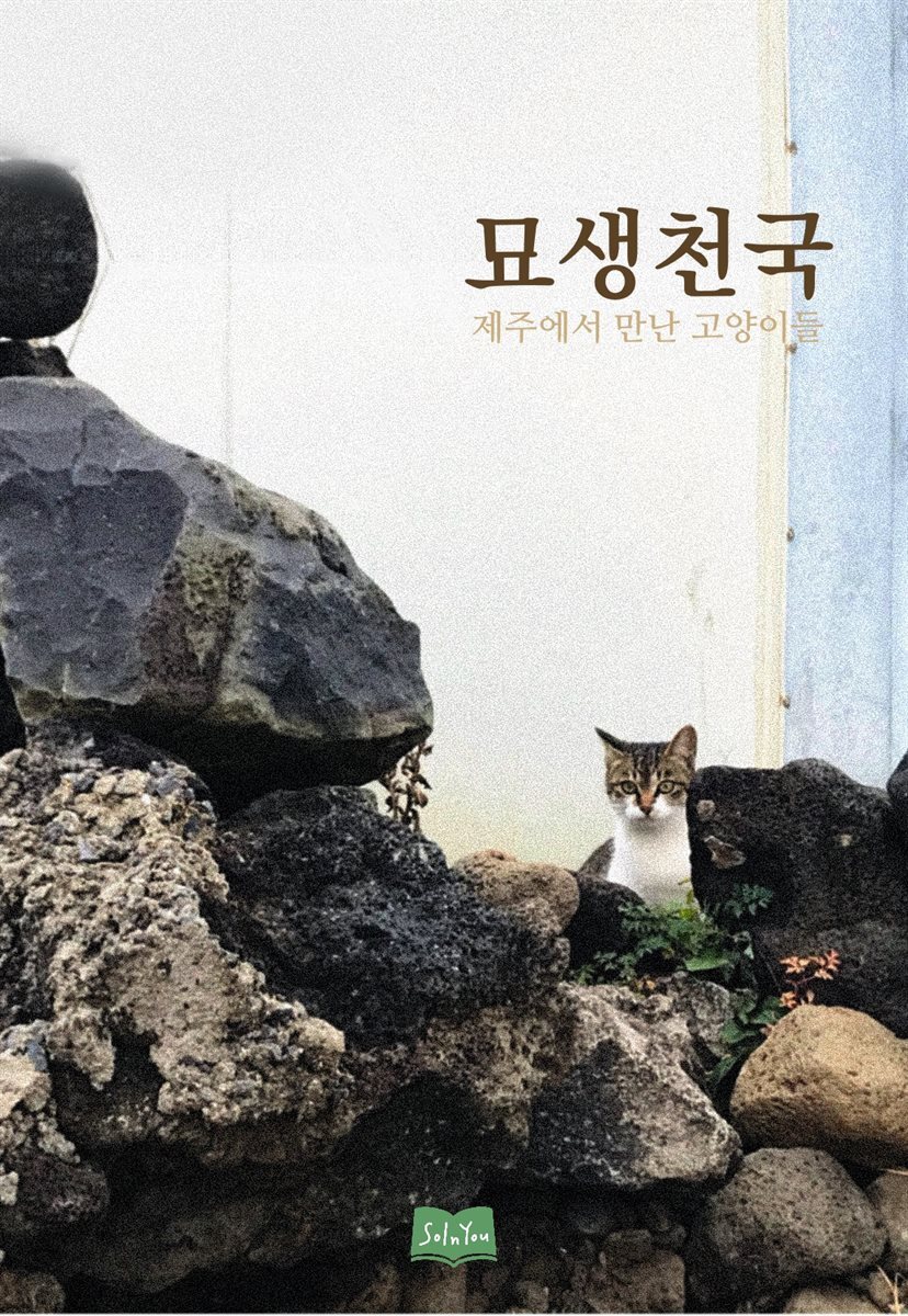 묘생천국