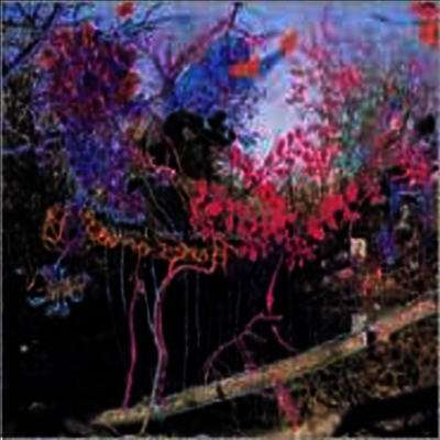 Animal Collective — Here Comes The Indian 앨범 커버