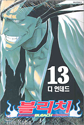 블리치 BLEACH 13