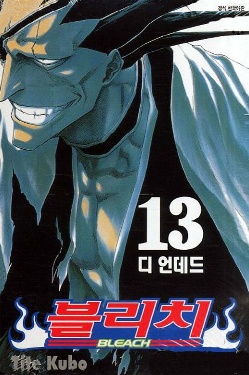 블리치 BLEACH 13