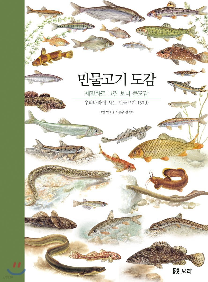 민물고기 도감