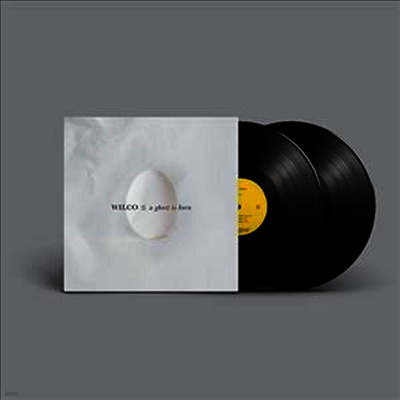 Wilco — A Ghost Is Born 앨범 커버