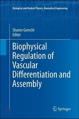 Biophysical Regulation of Vascular Differentiation and Assembly