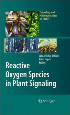 Reactive Oxygen Species in Plant Signaling